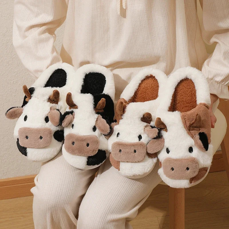 Cow slippers online